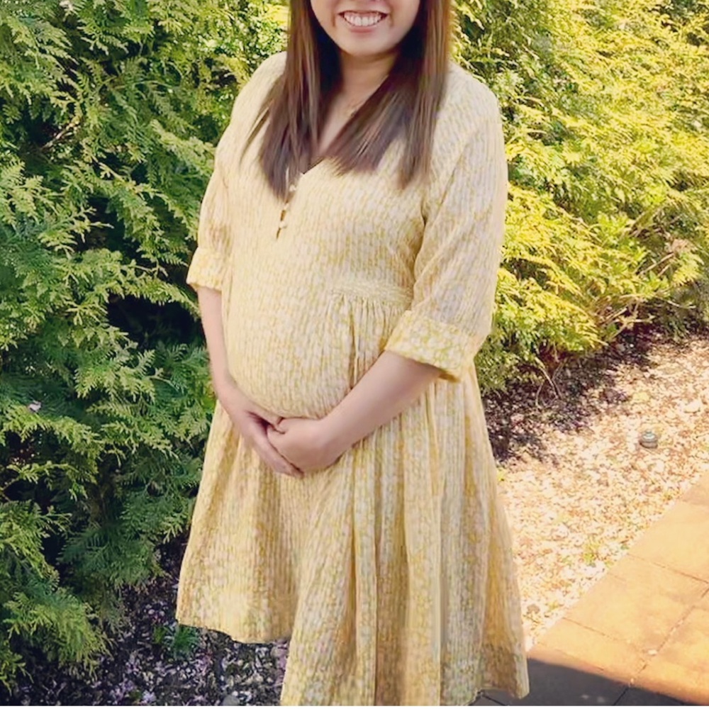 Hatch Maternity Dress